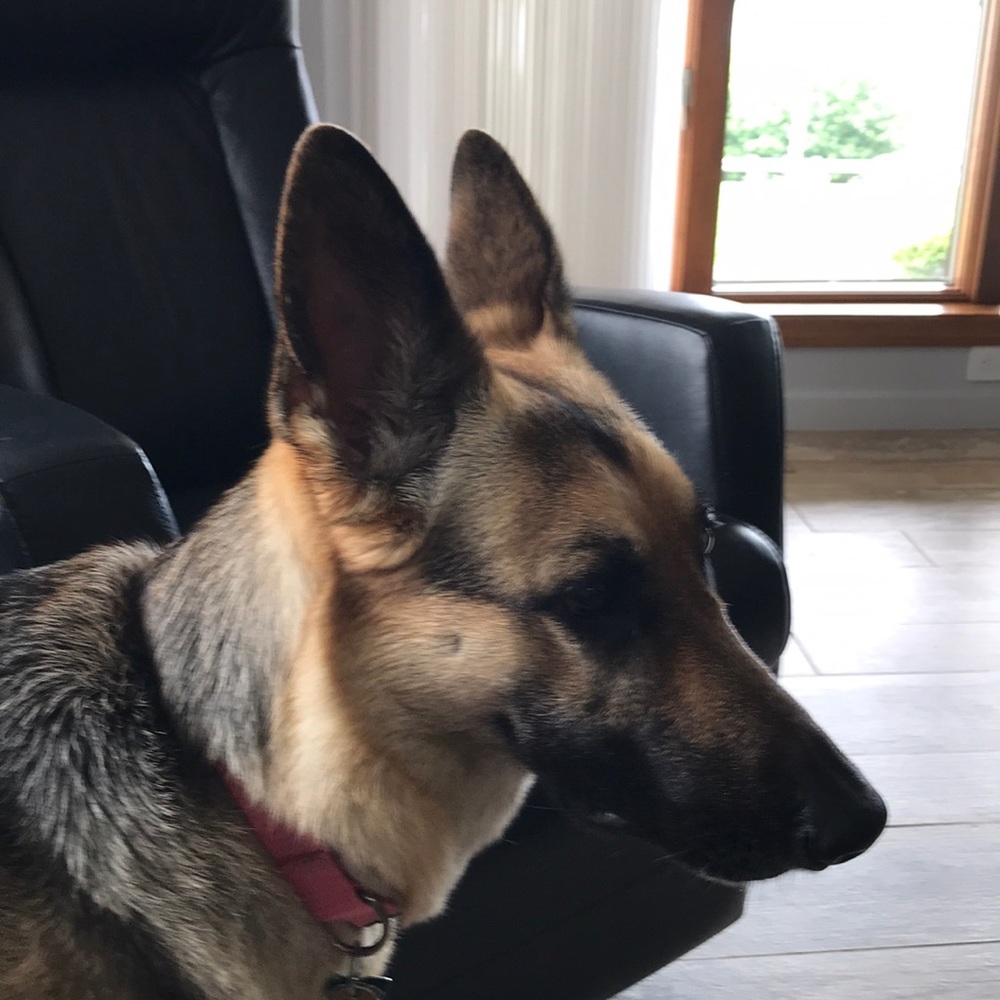 Meet your Posher, Jodee